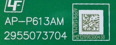 FUENTE DE PODER PARA TV SONY BRAVIA / NUMERO DE PARTE 101027711 / 1-010-277-11 / AP-P613AM A / 2955073704 / AP-P613AM / DISPLAY VA00DK1-QS1 REV.S1 / MODELO XR-100X92 / XR100X92 - Imagen 3